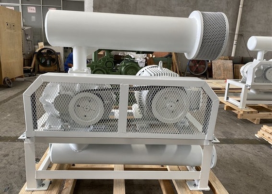 10-80Kpa PRM1500-2200 DN50 জল চিকিত্সার জন্য তিনটি লব রুট ব্লাভার