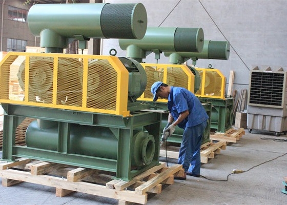 10" 80kpa 71.52m3/মিনিট 132kw ঢালাই লোহা থ্রি লব রুট ব্লোয়ার