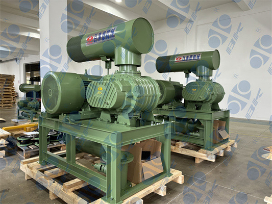 11kw 5.1m3/Min 60kpa Roots Rotary Lobe Blower 1750 Rpm Dn65 3 "ছোট ক্যাপাসিটি