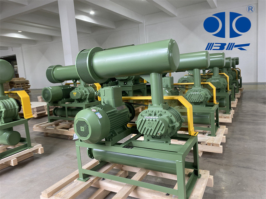 11kw 5.1m3/Min 60kpa Roots Rotary Lobe Blower 1750 Rpm Dn65 3 "ছোট ক্যাপাসিটি