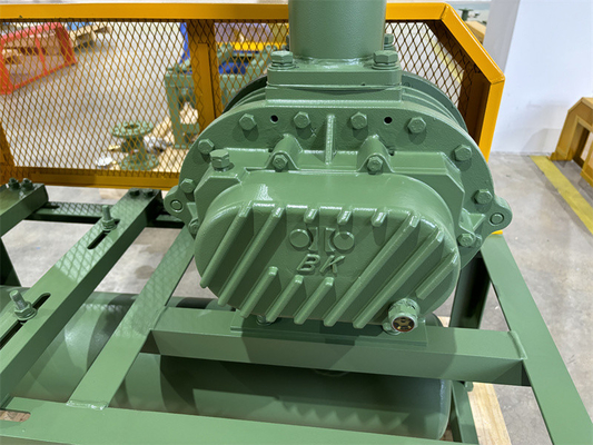 55kw লোহা BKW6005 তিন লব রুট বায়ুবাহক