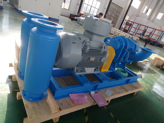 DN40 0.42-1.42 M3/min বিশেষ গ্যাসের জন্য স্টেইনলেস স্টীল রুট ব্লাভার