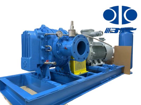 Corrosion Resistant Water Cooled Roots Blower Explosion Proof Biogas Blower for Special Gas Conveying