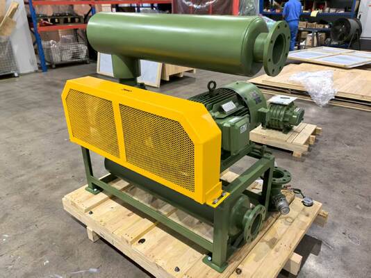 বিভিন্ন শিল্পে ভ্যাকুয়াম বাতাসের জন্য ইনলেট এবং আউটলেট ডাইমেনশন DN350 সহ রুটস ব্লোয়ার ভ্যাকুয়াম পাম্প মডেল BV10034