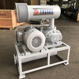 1100rpm 71.52m3/মিনিট থ্রি লোব রোটারি ব্লোয়ার এয়ারেশন ব্যাকওয়াশিং এর জন্য