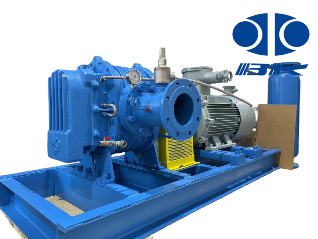 DN40 0.42-1.65m³/min Special Gas Corrosion-proof and Leakage-proof Roots Blower