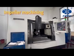 বি-টোহিন রুট ব্লাভার ইম্পেলার