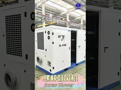 বিএলজি স্ক্রু রুট ব্লোয়ার